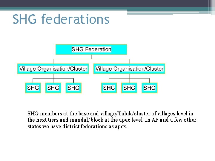 SHG federations SHG members at the base and village/Taluk/cluster of villages level in the