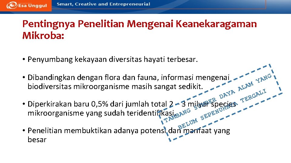 Pentingnya Penelitian Mengenai Keanekaragaman Mikroba: • Penyumbang kekayaan diversitas hayati terbesar. • Dibandingkan dengan