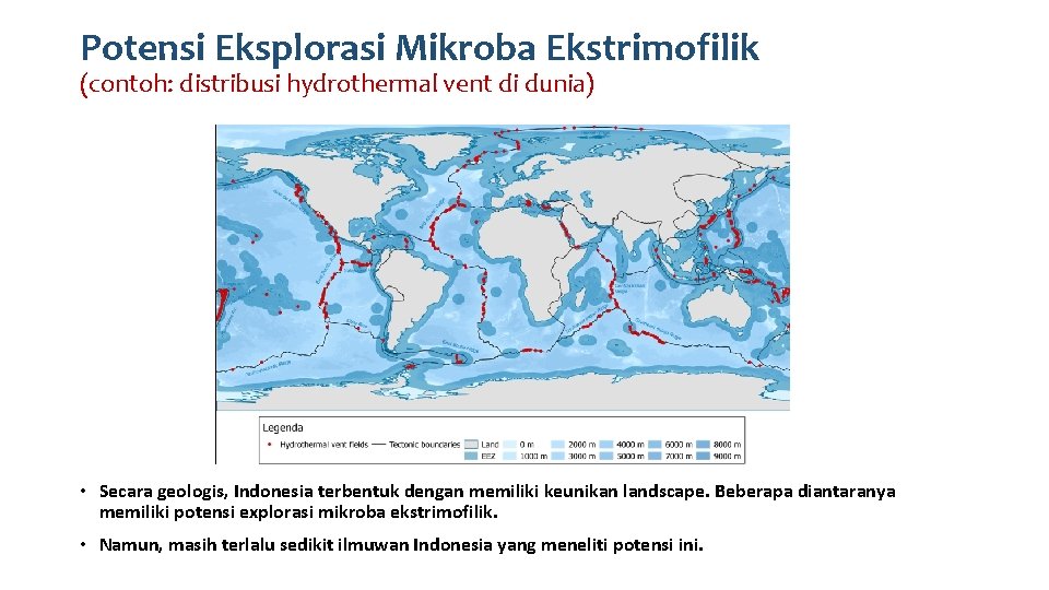 Potensi Eksplorasi Mikroba Ekstrimofilik (contoh: distribusi hydrothermal vent di dunia) • Secara geologis, Indonesia