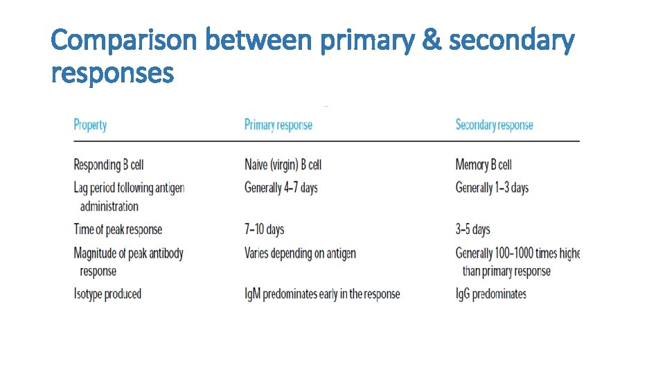 Comparison between primary & secondary responses 