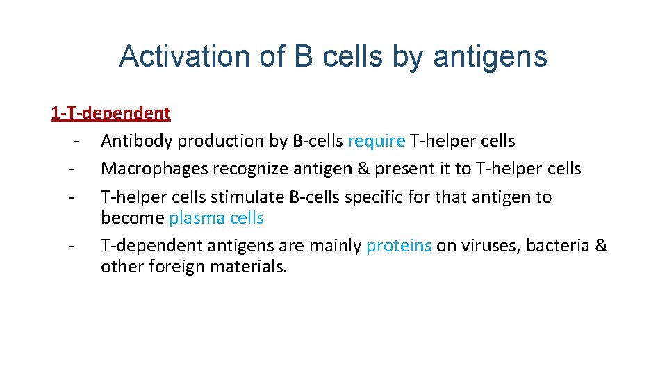 Activation of B cells by antigens 1 -T-dependent - Antibody production by B-cells require