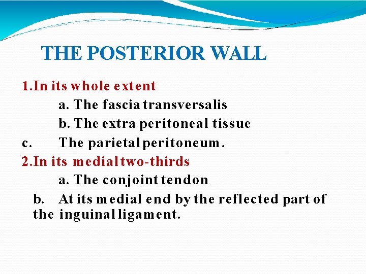 THE POSTERIOR WALL 1. In its whole extent a. The fascia transversalis b. The