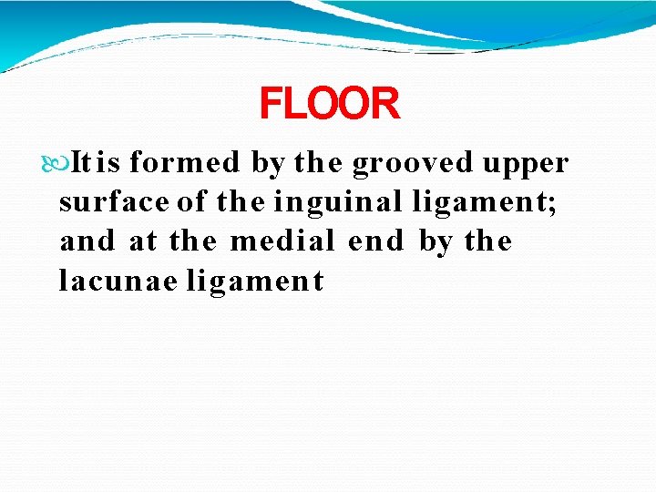 FLOOR It is formed by the grooved upper surface of the inguinal ligament; and