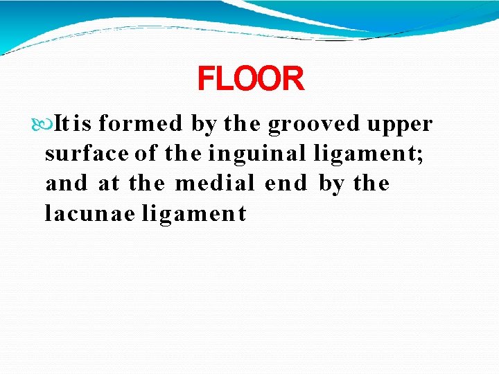 FLOOR It is formed by the grooved upper surface of the inguinal ligament; and FLOOR It is formed by the grooved upper surface of the inguinal ligament; and