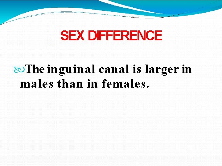 SEX DIFFERENCE The inguinal canal is larger in males than in females. 