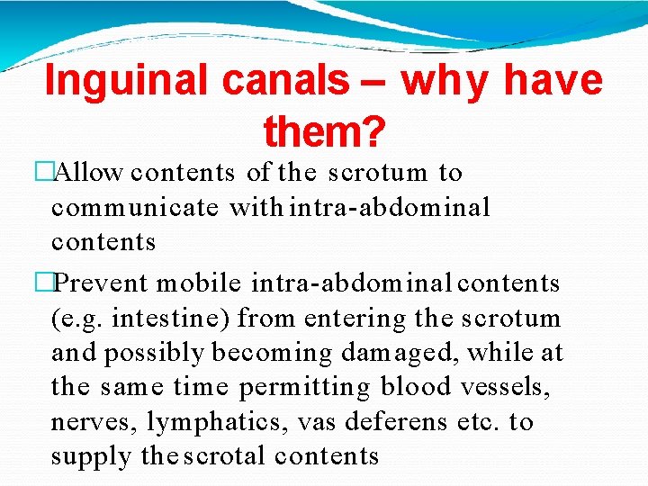 Inguinal canals – why have them? �Allow contents of the scrotum to communicate with Inguinal canals – why have them? �Allow contents of the scrotum to communicate with