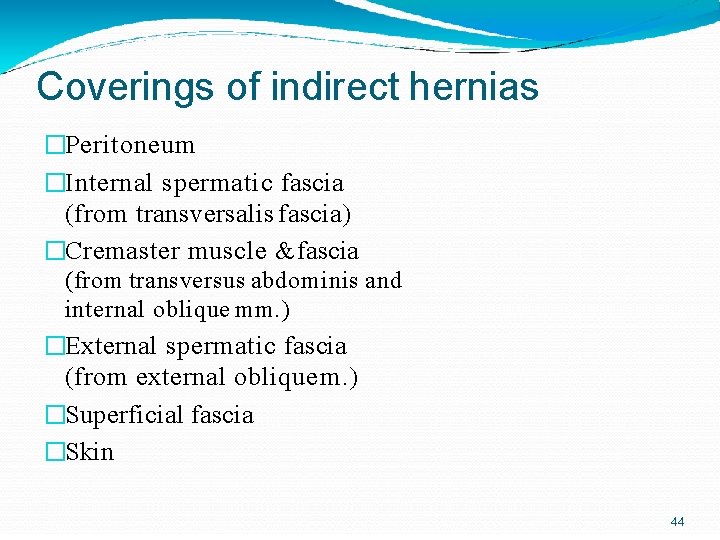 Coverings of indirect hernias �Peritoneum �Internal spermatic fascia (from transversalis fascia) �Cremaster muscle & Coverings of indirect hernias �Peritoneum �Internal spermatic fascia (from transversalis fascia) �Cremaster muscle &