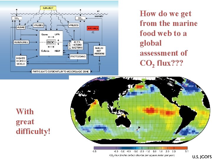 How do we get from the marine food web to a global assessment of