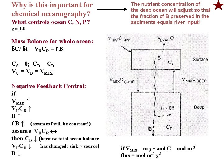 Why is this important for chemical oceanography? What controls ocean C, N, P? The