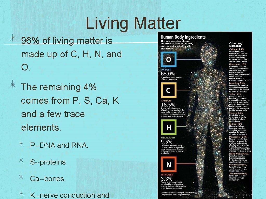 Living Matter 96% of living matter is made up of C, H, N, and