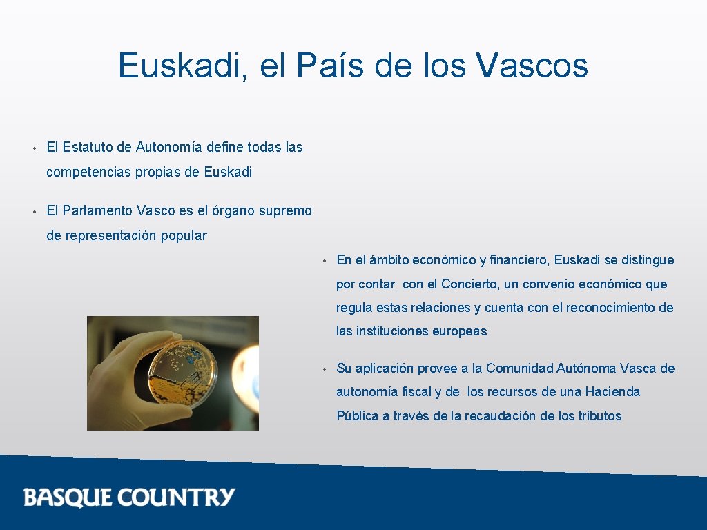 Euskadi, el País de los Vascos • El Estatuto de Autonomía define todas las