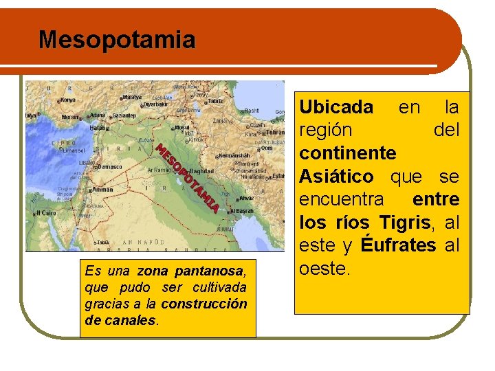 Mesopotamia Es una zona pantanosa, que pudo ser cultivada gracias a la construcción de