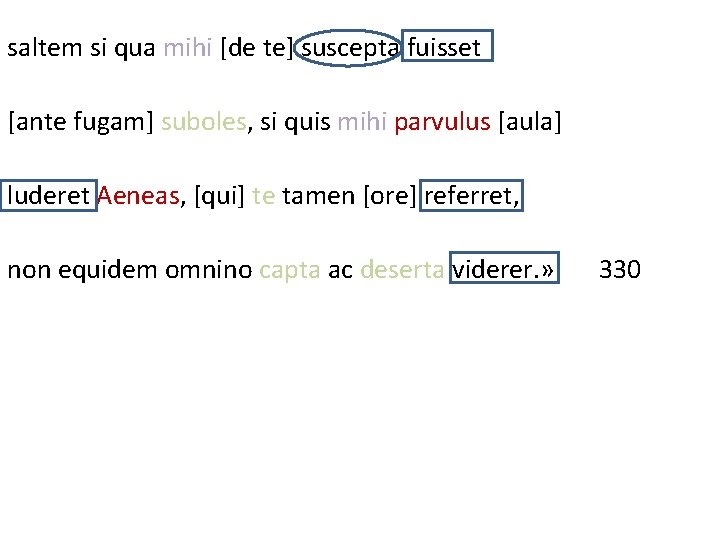 saltem si qua mihi [de te] suscepta fuisset [ante fugam] suboles, si quis mihi