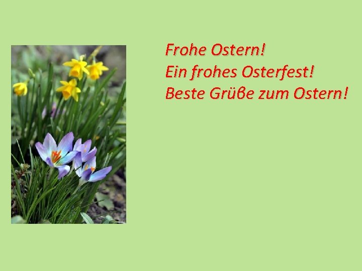 Frohe Ostern! Ein frohes Osterfest! Beste Grüβe zum Ostern! 