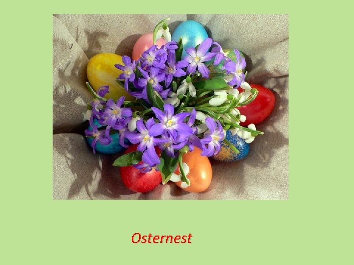 Osternest 