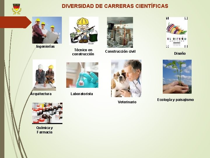 DIVERSIDAD DE CARRERAS CIENTÍFICAS Ingenierías Arquitectura Técnico en construcción Construcción civil Laboratorista Veterinario Química