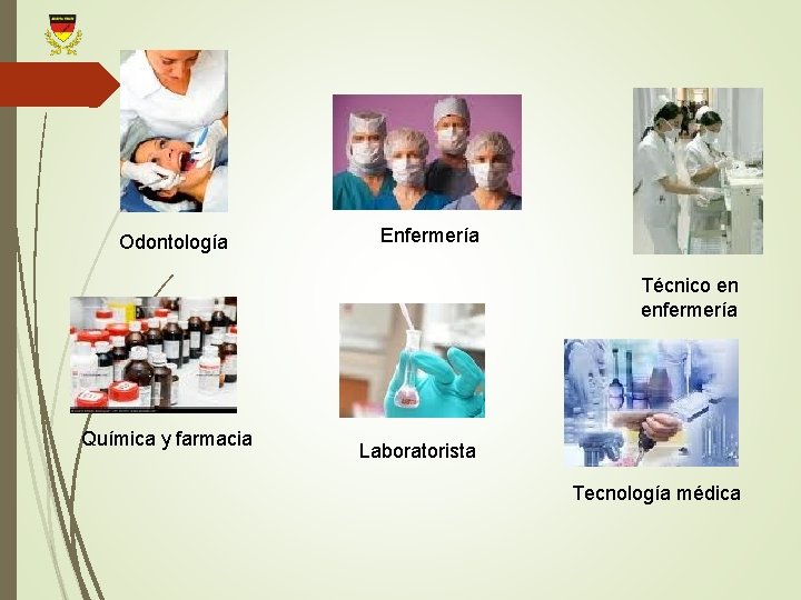 Odontología Enfermería Técnico en enfermería Química y farmacia Laboratorista Tecnología médica 