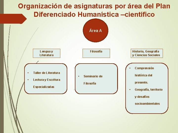 Organización de asignaturas por área del Plan Diferenciado Humanística –científico Área A Lengua y