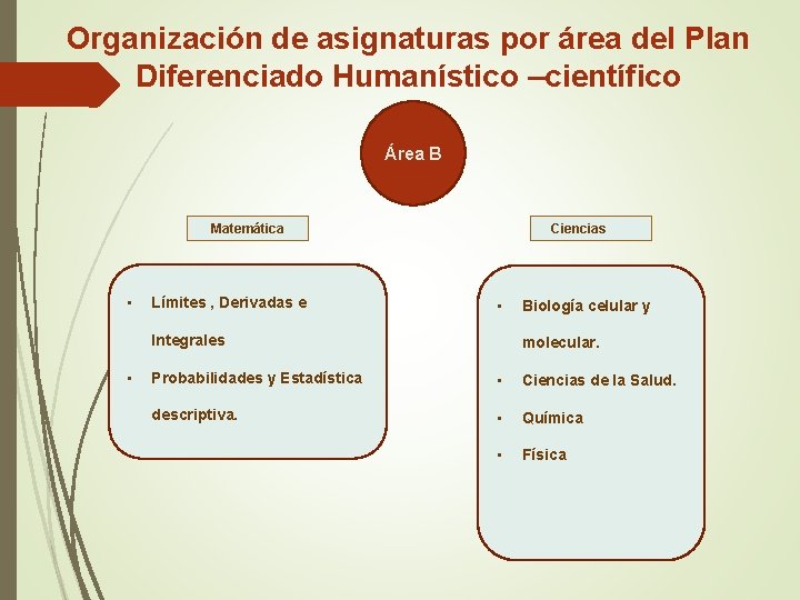 Organización de asignaturas por área del Plan Diferenciado Humanístico –científico Área B Matemática •
