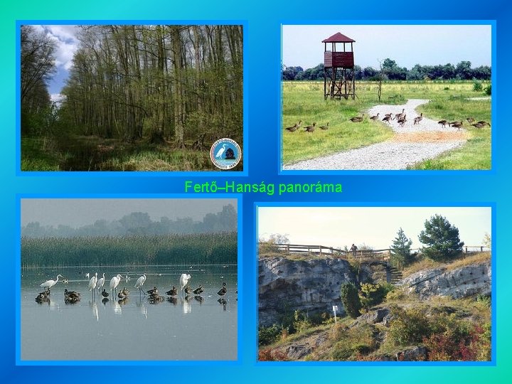 Fertő–Hanság panoráma 