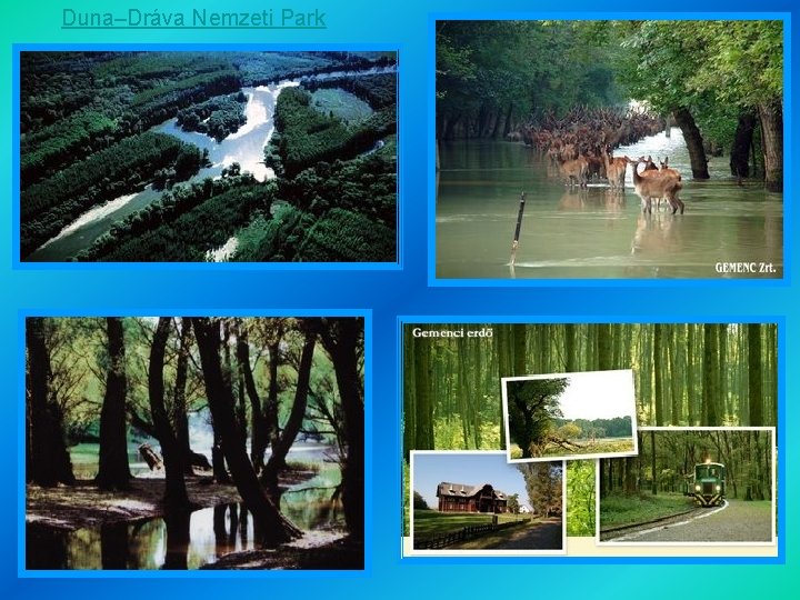 Duna–Dráva Nemzeti Park 