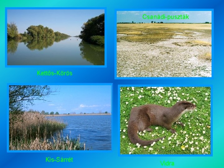 Csanádi-puszták Kettős-Körös Kis-Sárrét Vidra 