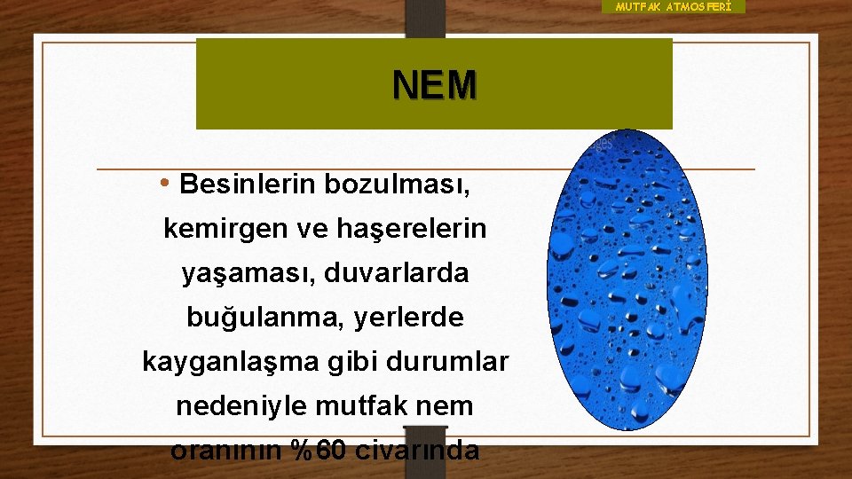 MUTFAK ATMOSFERİ NEM • Besinlerin bozulması, kemirgen ve haşerelerin yaşaması, duvarlarda buğulanma, yerlerde kayganlaşma