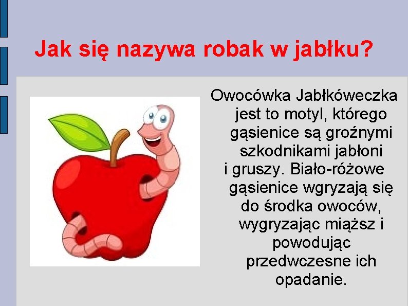 Jak się nazywa robak w jabłku? Owocówka Jabłkóweczka jest to motyl, którego gąsienice są