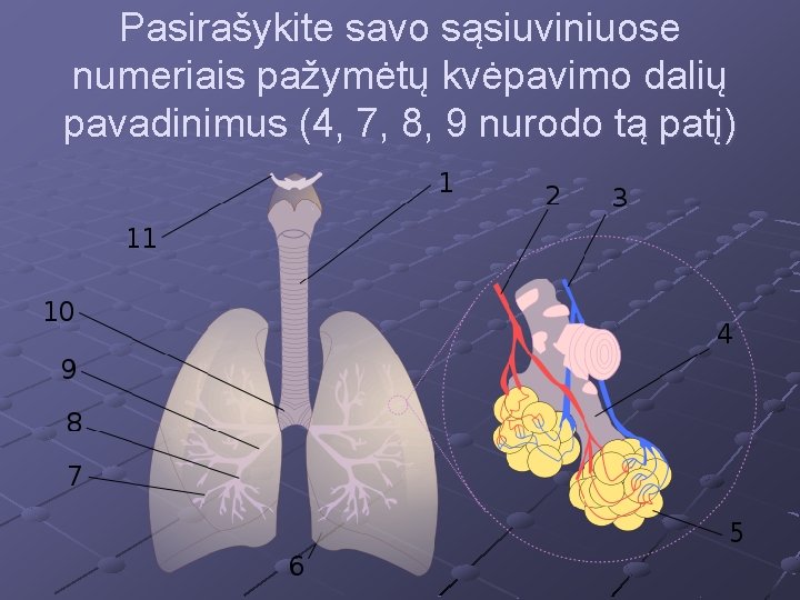 Pasirašykite savo sąsiuviniuose numeriais pažymėtų kvėpavimo dalių pavadinimus (4, 7, 8, 9 nurodo tą