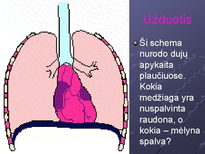 Užduotis Ši schema nurodo dujų apykaita plaučiuose. Kokia medžiaga yra nuspalvinta raudona, o kokia