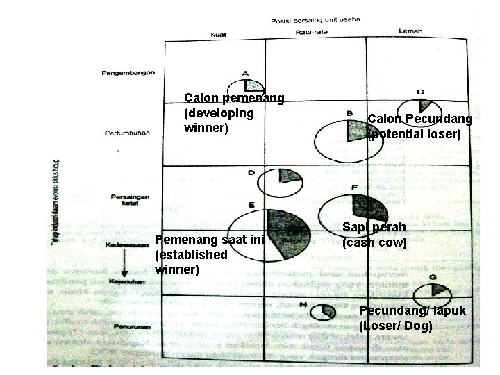 Calon pemenang (developing winner) Pemenang saat ini (established winner) Calon Pecundang (potential loser) Sapi