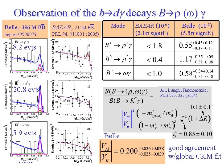 Observation of the b dg decays B r (w) g Belle, 386 M BB