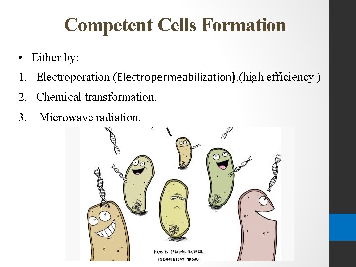 Competent Cells Formation • Either by: 1. Electroporation (Electropermeabilization). (high efficiency ) 2. Chemical