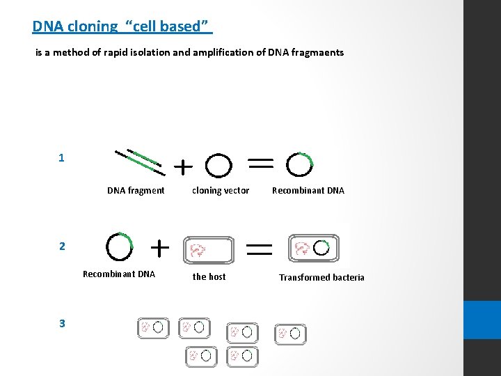 DNA cloning “cell based” is a method of rapid isolation and amplification of DNA