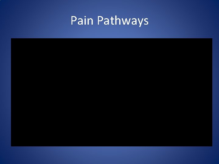 Pain Pathways 