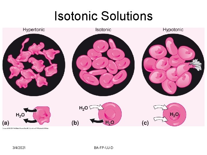 Isotonic Solutions 3/4/2021 BA-FP-UJ-D 