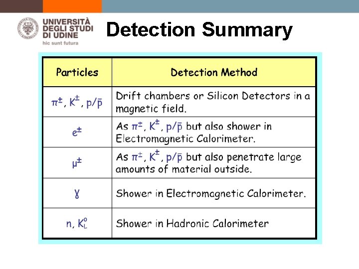 Detection Summary 