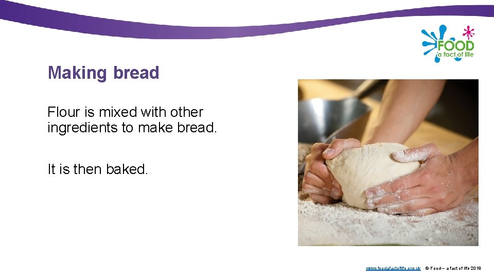 Making bread Flour is mixed with other ingredients to make bread. It is then