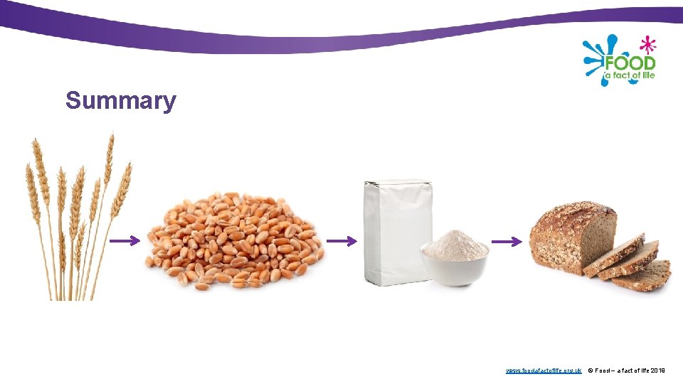 Summary www. foodafactoflife. org. uk © Food – a fact of life 2019 