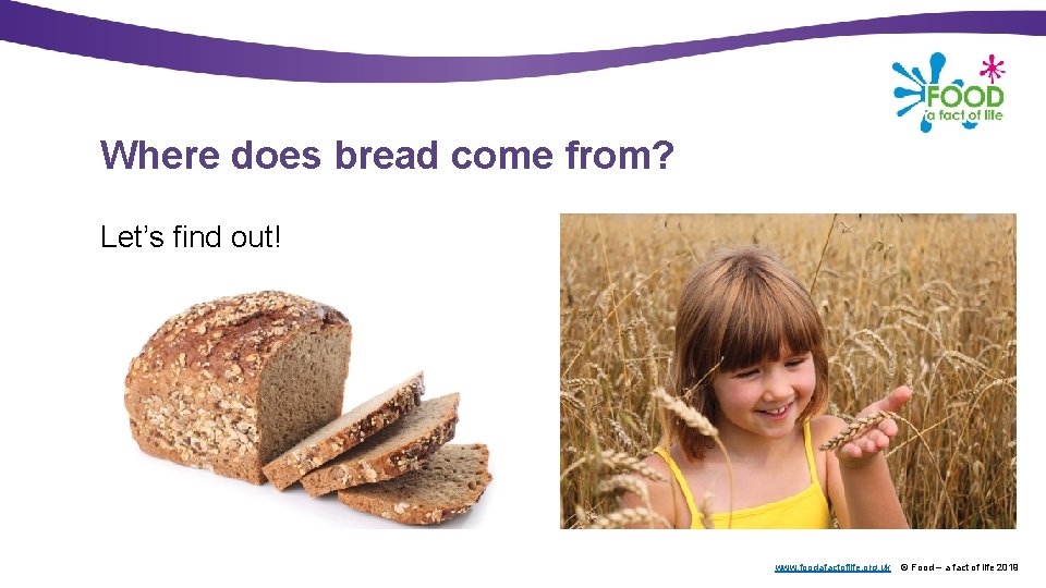 Where does bread come from? Let’s find out! www. foodafactoflife. org. uk © Food