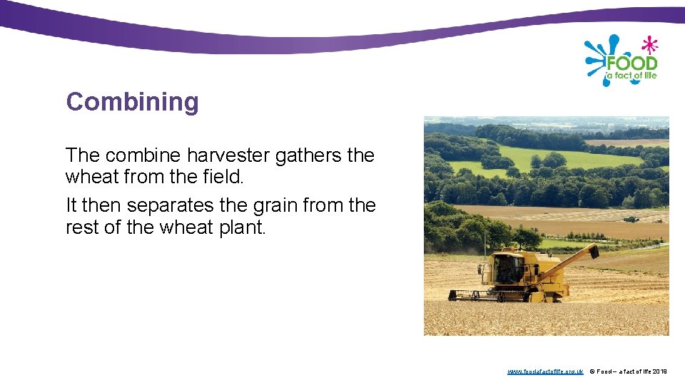 Where does bread come from www foodafactoflife org