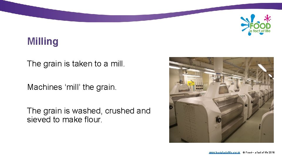 Milling The grain is taken to a mill. Machines ‘mill’ the grain. The grain