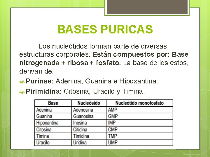 BASES PURICAS Los nucleótidos forman parte de diversas estructuras corporales. Están compuestos por: Base