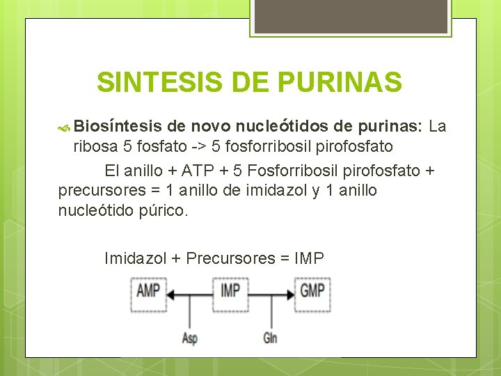 SINTESIS DE PURINAS Biosíntesis de novo nucleótidos de purinas: La ribosa 5 fosfato ->