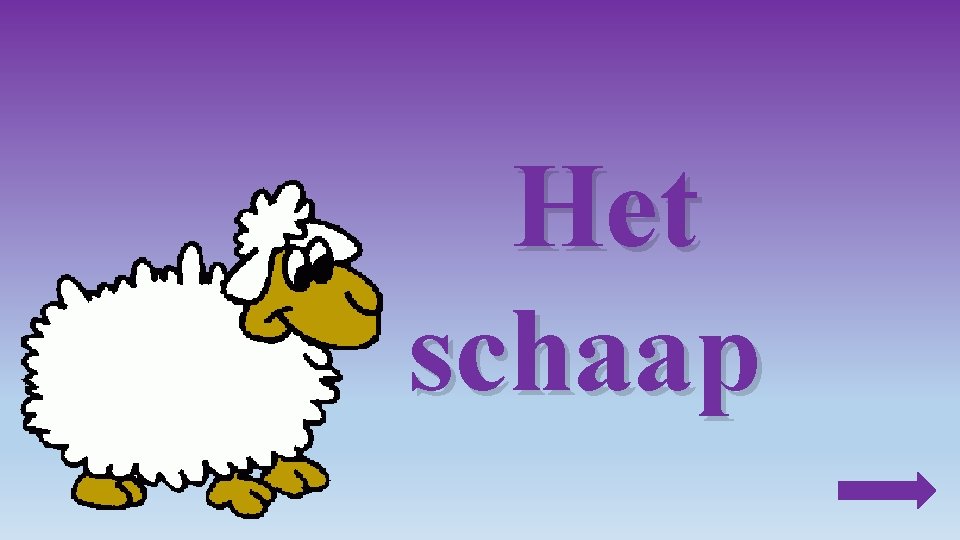 Het schaap 