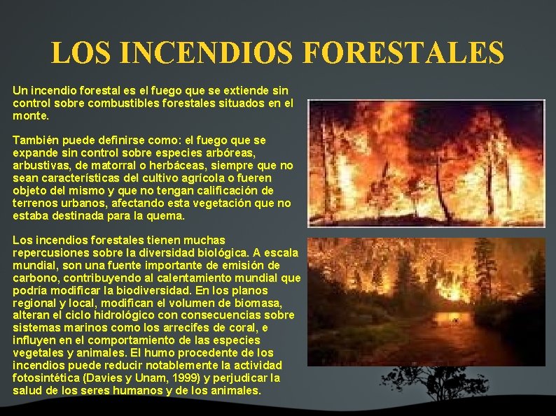 LOS INCENDIOS FORESTALES Un incendio forestal es el fuego que se extiende sin control