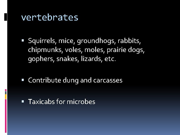 vertebrates Squirrels, mice, groundhogs, rabbits, chipmunks, voles, moles, prairie dogs, gophers, snakes, lizards, etc.