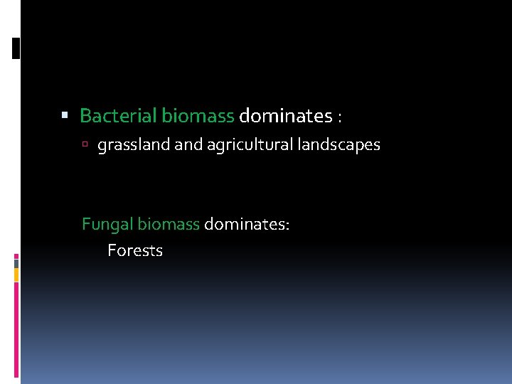  Bacterial biomass dominates : grassland agricultural landscapes Fungal biomass dominates: Forests 