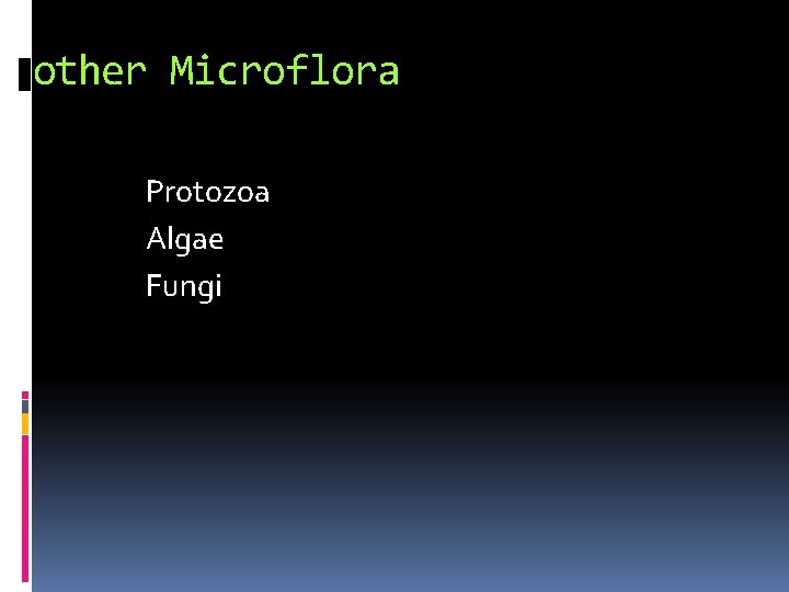 other Microflora Protozoa Algae Fungi 