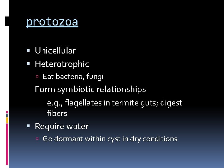 protozoa Unicellular Heterotrophic Eat bacteria, fungi Form symbiotic relationships e. g. , flagellates in